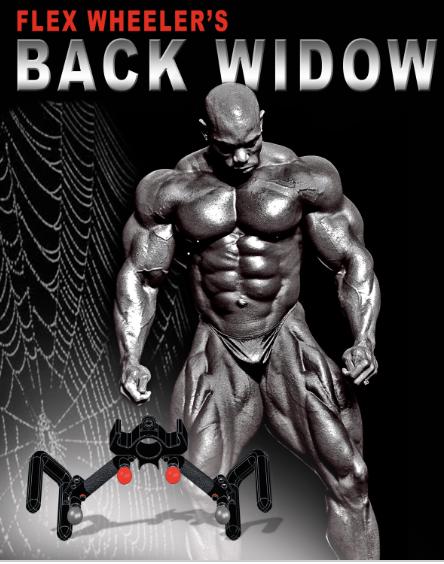 Back Widow