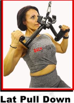 1d. Flex Wheeler's BACK WIDOW® JR – Back Widow