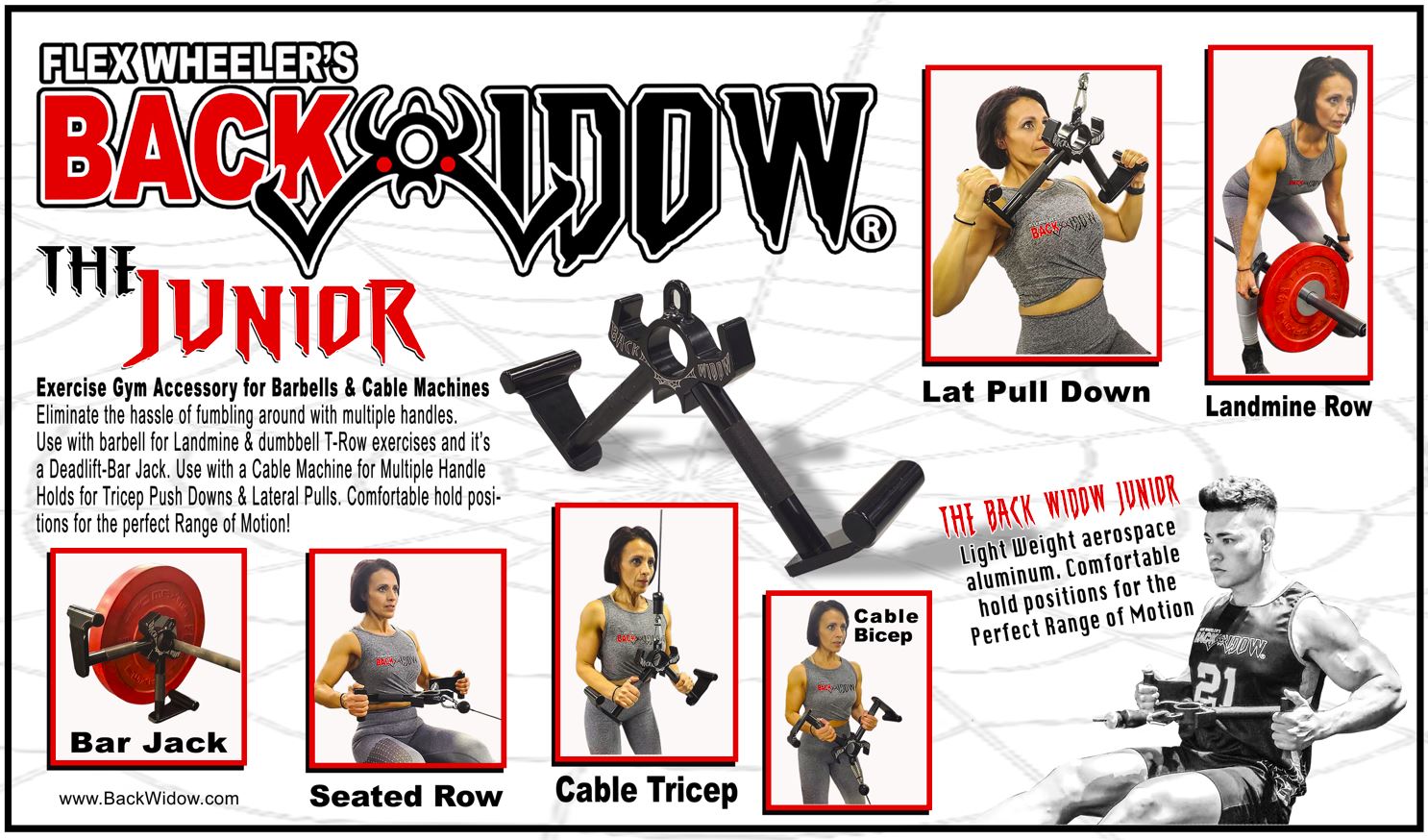 Flex Wheeler's Back Widow Flex Wheeler's Back Widow